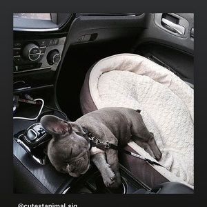 Meet your Posher, Heidi